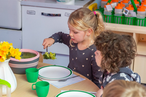 Healthy, Home-Cooked Meals